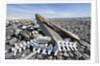 Whalers' Graves, Deadman Island, Nunavut, Canada by Anonymous