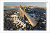 Whalers' Graves, Deadman Island, Nunavut, Canada by Anonymous
