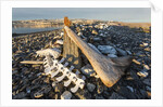 Whalers' Graves, Deadman Island, Nunavut, Canada by Anonymous