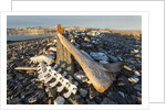 Whalers' Graves, Deadman Island, Nunavut, Canada by Anonymous