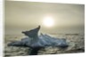Melting Iceberg, Hudson Bay, Nunavut, Canada by Anonymous