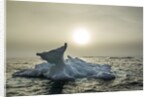 Melting Iceberg, Hudson Bay, Nunavut, Canada by Anonymous