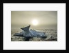 Melting Iceberg, Hudson Bay, Nunavut, Canada by Anonymous