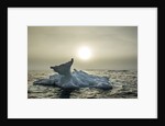 Melting Iceberg, Hudson Bay, Nunavut, Canada by Anonymous