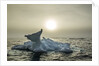 Melting Iceberg, Hudson Bay, Nunavut, Canada by Anonymous