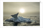 Melting Iceberg, Hudson Bay, Nunavut, Canada by Anonymous
