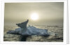 Melting Iceberg, Hudson Bay, Nunavut, Canada by Anonymous