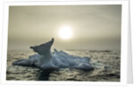 Melting Iceberg, Hudson Bay, Nunavut, Canada by Anonymous