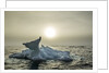 Melting Iceberg, Hudson Bay, Nunavut, Canada by Anonymous