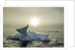 Melting Iceberg, Hudson Bay, Nunavut, Canada by Anonymous