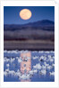 Snow Geese and Full Moon, New Mexico by Anonymous