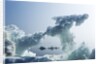 Sea Ice, Nunavut Territory, Canada by Anonymous