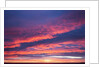 Sunrise Clouds, Hudson Bay, Canada by Anonymous