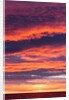 Sunrise Clouds, Hudson Bay, Canada by Anonymous