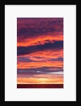 Sunrise Clouds, Hudson Bay, Canada by Anonymous