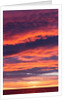 Sunrise Clouds, Hudson Bay, Canada by Anonymous