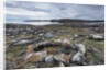 Stone Tent Rings, Nunavut, Canada by Anonymous
