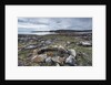 Stone Tent Rings, Nunavut, Canada by Anonymous