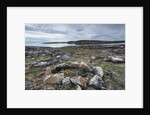 Stone Tent Rings, Nunavut, Canada by Anonymous