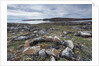 Stone Tent Rings, Nunavut, Canada by Anonymous
