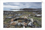 Stone Tent Rings, Nunavut, Canada by Anonymous
