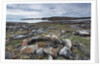 Stone Tent Rings, Nunavut, Canada by Anonymous