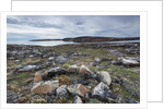 Stone Tent Rings, Nunavut, Canada by Anonymous