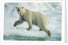 Polar Bear on Iceberg, Hudson Bay, Nunavut, Canada by Anonymous