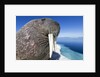 Walrus on Iceberg, Hudson Bay, Nunavut, Canada by Anonymous
