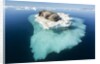 Walruses on Iceberg, Hudson Bay, Nunavut, Canada by Anonymous
