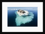 Walruses on Iceberg, Hudson Bay, Nunavut, Canada by Anonymous