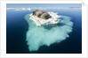 Walruses on Iceberg, Hudson Bay, Nunavut, Canada by Anonymous