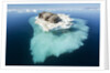 Walruses on Iceberg, Hudson Bay, Nunavut, Canada by Anonymous