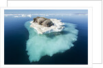Walruses on Iceberg, Hudson Bay, Nunavut, Canada by Anonymous