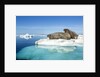 Walruses on Iceberg, Hudson Bay, Nunavut, Canada by Anonymous