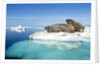 Walruses on Iceberg, Hudson Bay, Nunavut, Canada by Anonymous