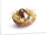 Chocolate Easter Eggs by Anonymous