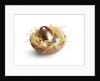 Chocolate Easter Eggs by Anonymous