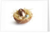 Chocolate Easter Eggs by Anonymous