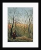 The Walk in the Forest by Le Douanier Rousseau