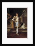 Portrait of Charles-Ferdinand d'Artois, Duke of Berry by Francois Gerard
