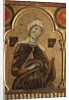 Detail of mary from Christ the Redeemer and Four Saints by Meliore di Jacopo
