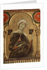 Detail of mary from Christ the Redeemer and Four Saints by Meliore di Jacopo