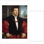 Portrait of Christoph Baumgartner by Christoph Amberger