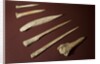 Assorted Bone Needles by Anonymous