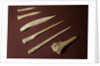 Assorted Bone Needles by Anonymous