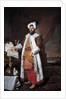 Portrait of Mehemet called Pasha Bey of Rumelia by Joseph Aved