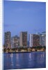 Twilight Waikiki by Anonymous
