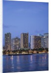 Twilight Waikiki by Anonymous