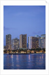 Twilight Waikiki by Anonymous